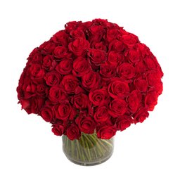 100 Rose Collection - Queens Flower Delivery