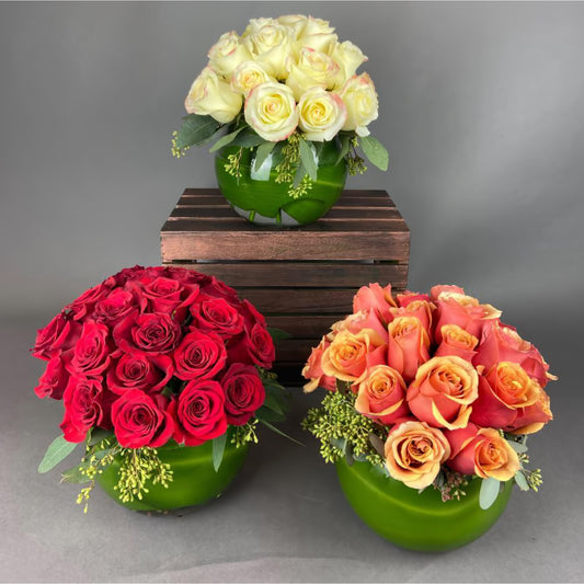 24 Rose Elegance Bubble Bowl - Floral Arrangement - Queens Flower Delivery