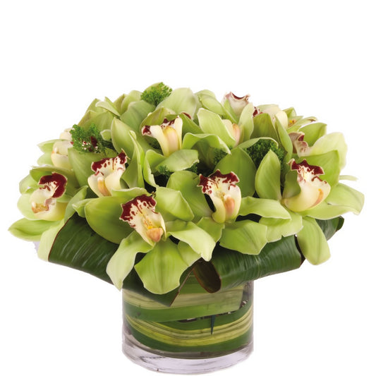 Northern Lights - Fresh Cut Flowers - Queens Flower Delivery