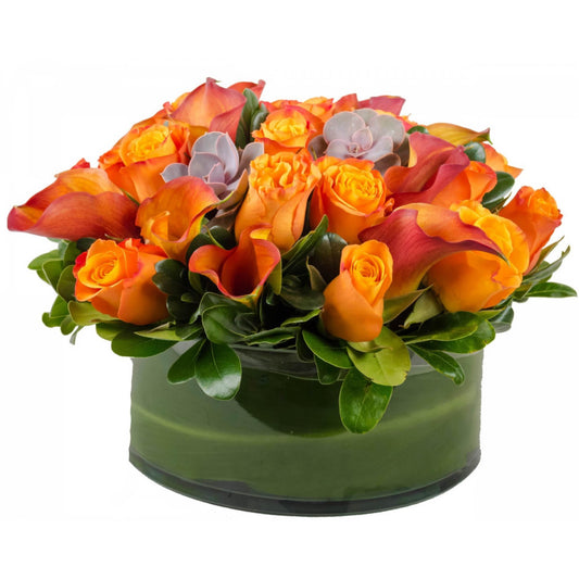 Orange You Amazing - Floral Arrangement - Queens Flower Delivery