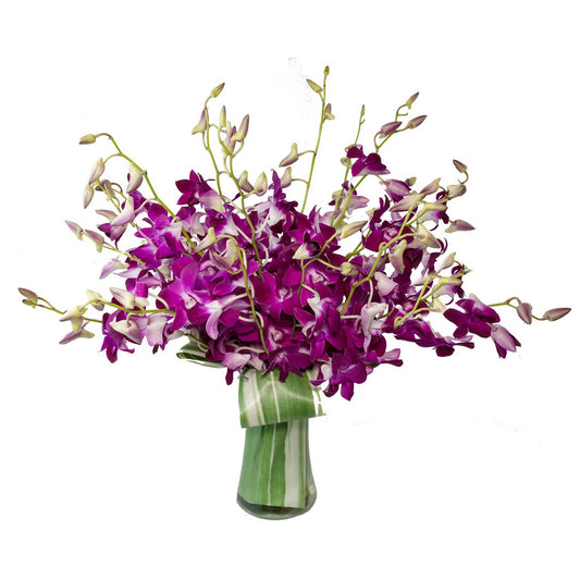 Orchid Embrace - Fresh Cut Flowers - Queens Flower Delivery