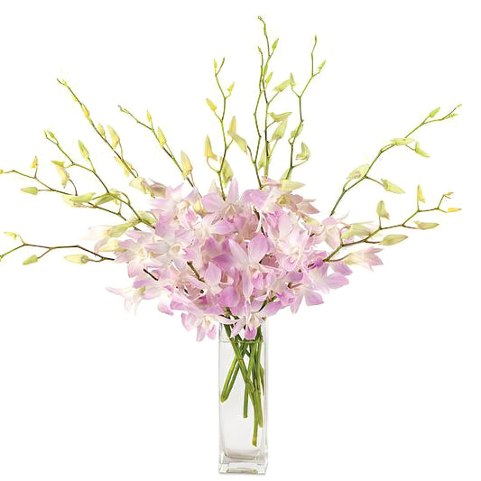 Pastel Perfection Orchid Bouquet - Fresh Cut Flowers - Queens Flower Delivery