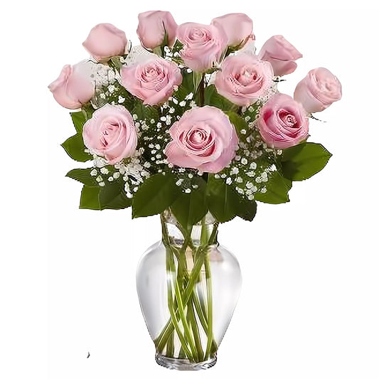 Premium Long Stem - Dozen Pink Roses - Roses - Queens Flower Delivery