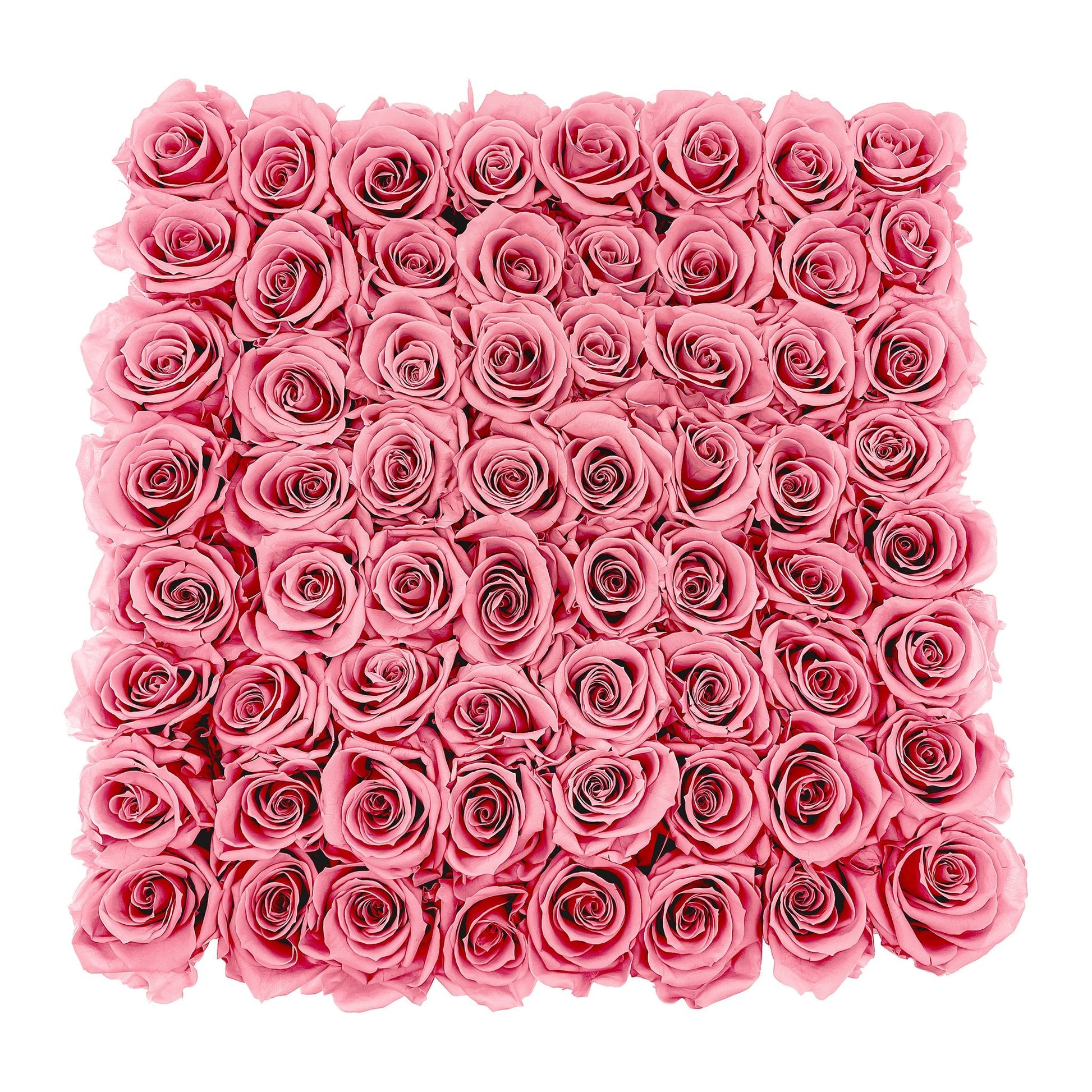 Preserved Roses Large Box | Light Pink - Roses - Queens Flower Delivery