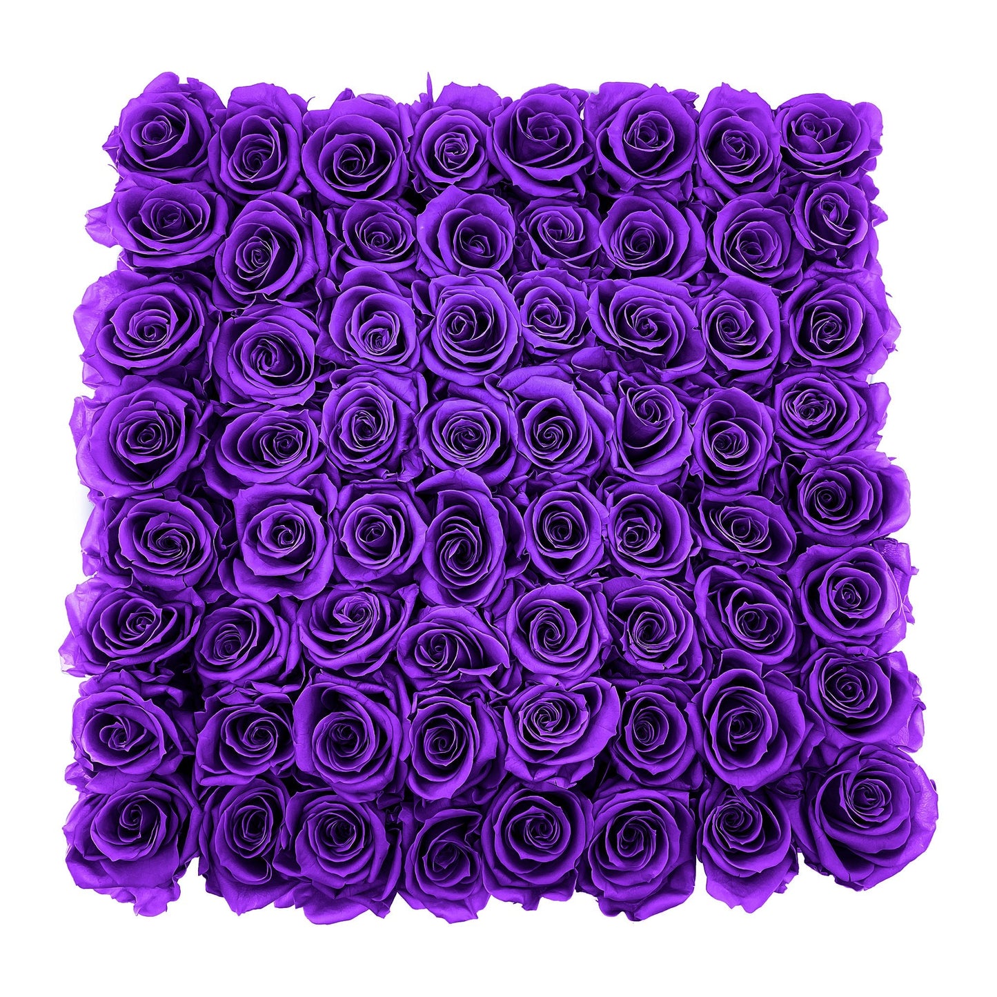 Preserved Roses Large Box | Purple - Roses - Queens Flower Delivery
