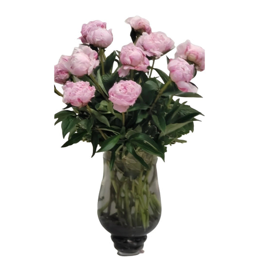 Splendid Peony Elegance - Fresh Cut Flowers - Queens Flower Delivery
