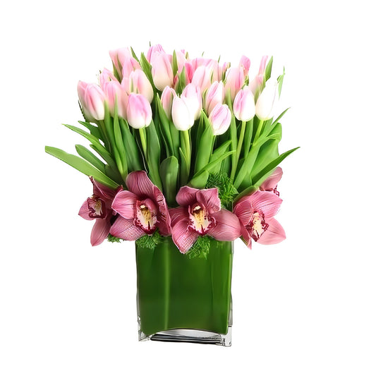 Tulip Modern Wonderful - Fresh Cut Flowers - Queens Flower Delivery