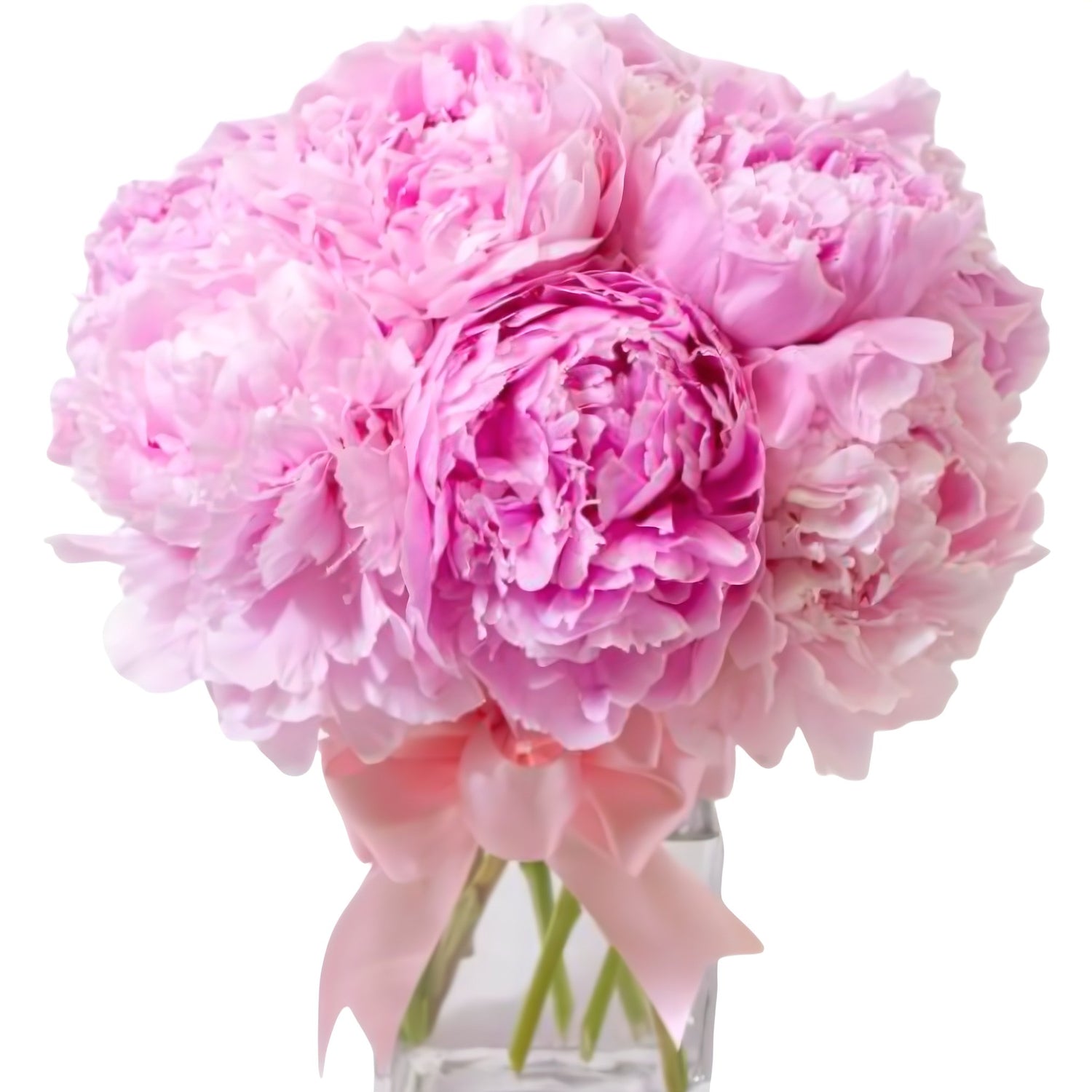 Peony Collection - Queens Flower Delivery