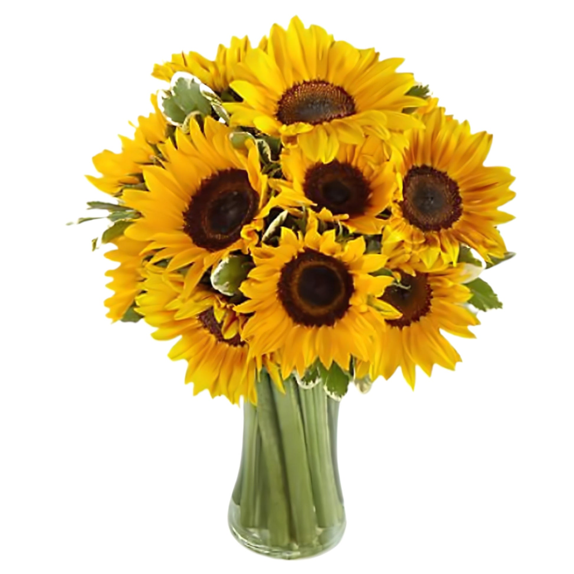 Our Bright-Sunflower-Bouquet of long-lasting blooms hand crafted by Queens Flower Delivery brings that just-picked-from-the-meadow feeling.