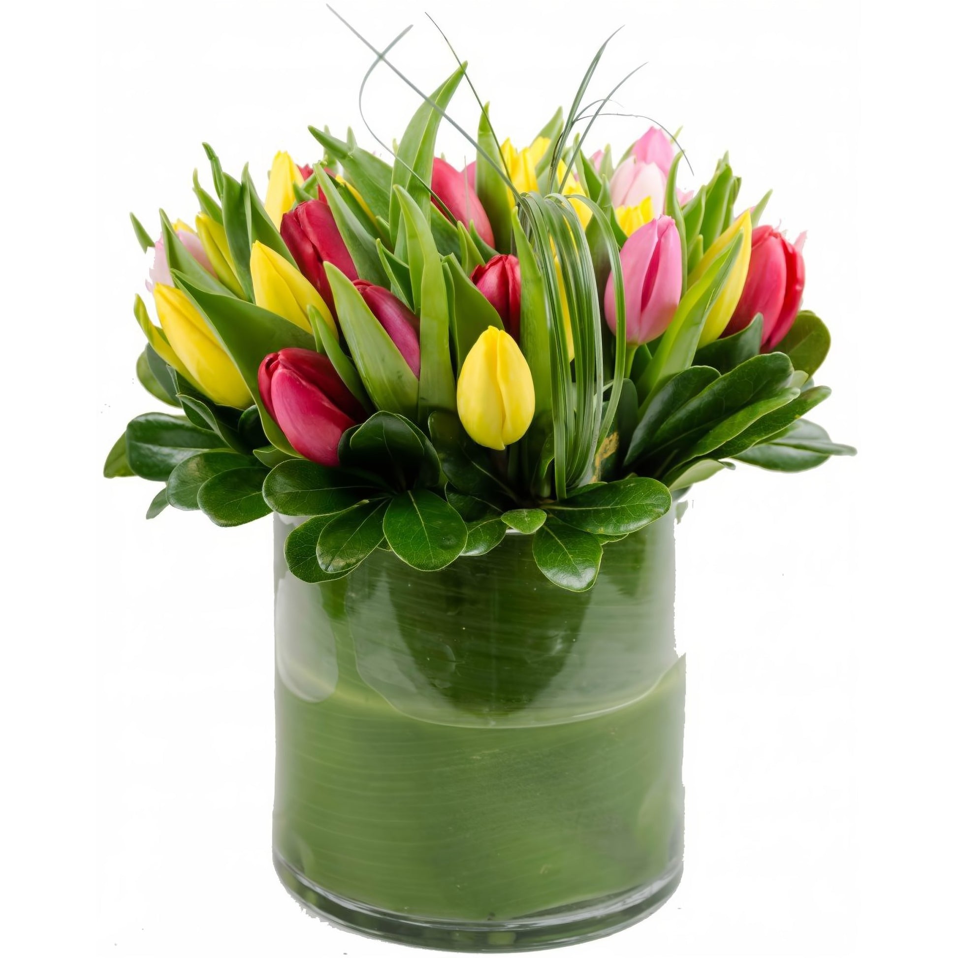 Colorful Tulip Cylinder - Floral Arrangement - Queens Flower Delivery