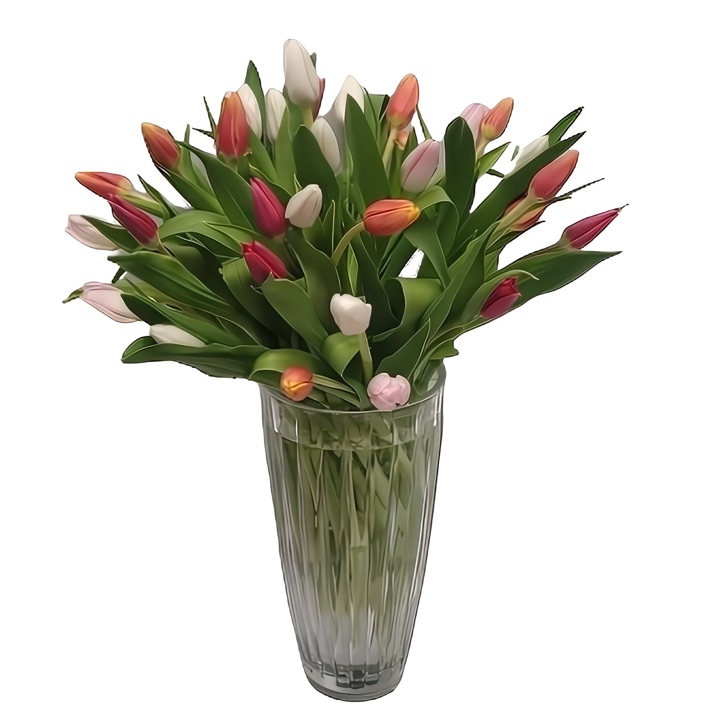 Crystal Tulip Splendor - Floral Arrangement - Queens Flower Delivery