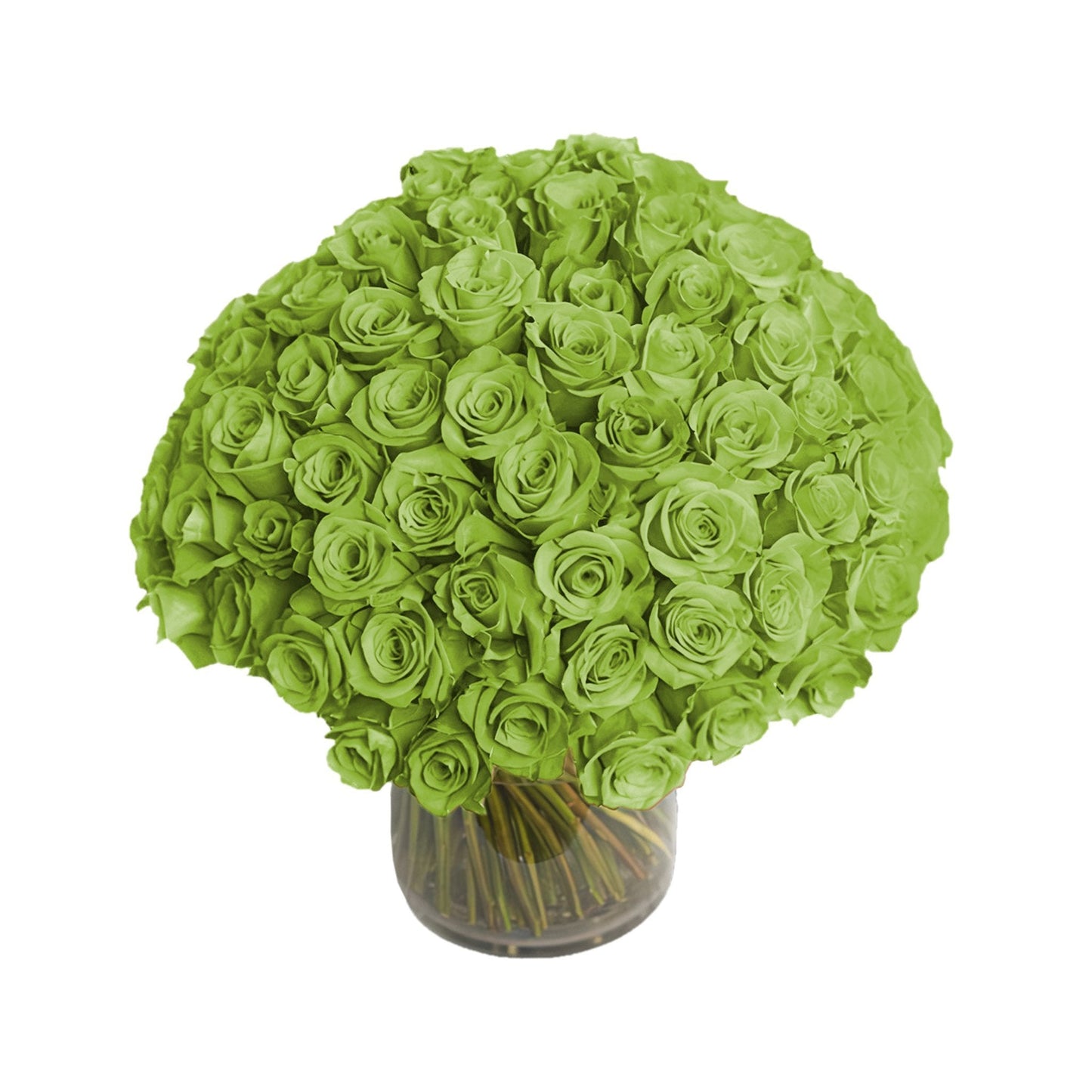 Fresh Roses in a Vase | 100 Green Roses - Fresh Cut Flowers - Queens Flower Delivery