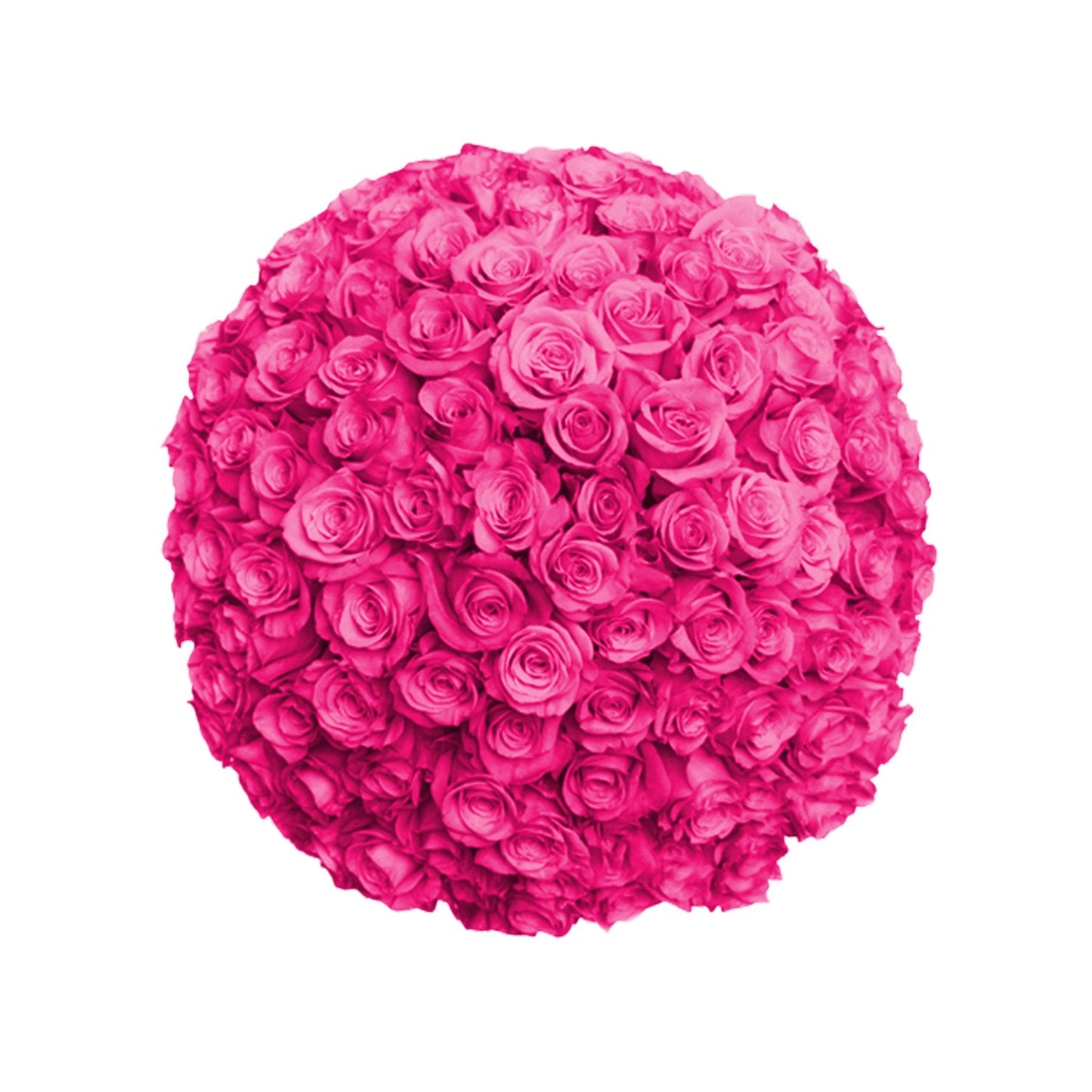 Fresh Roses in a Vase | 100 Hot Pink Roses - Fresh Cut Flowers - Queens Flower Delivery