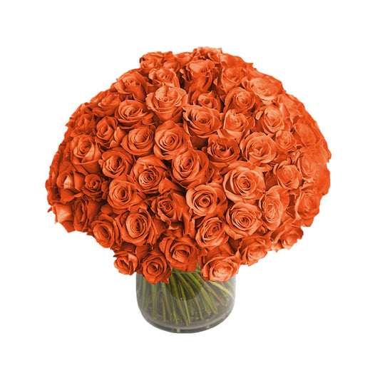 Fresh Roses in a Vase | 100 Orange Roses - Fresh Cut Flowers - Queens Flower Delivery