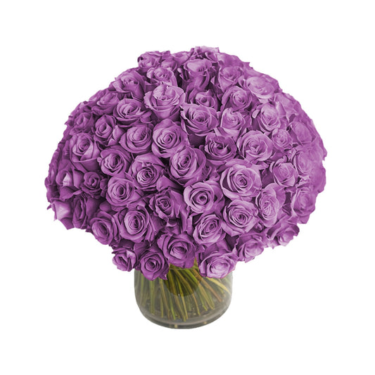 Fresh Roses in a Vase | 100 Purple Roses - Fresh Cut Flowers - Queens Flower Delivery
