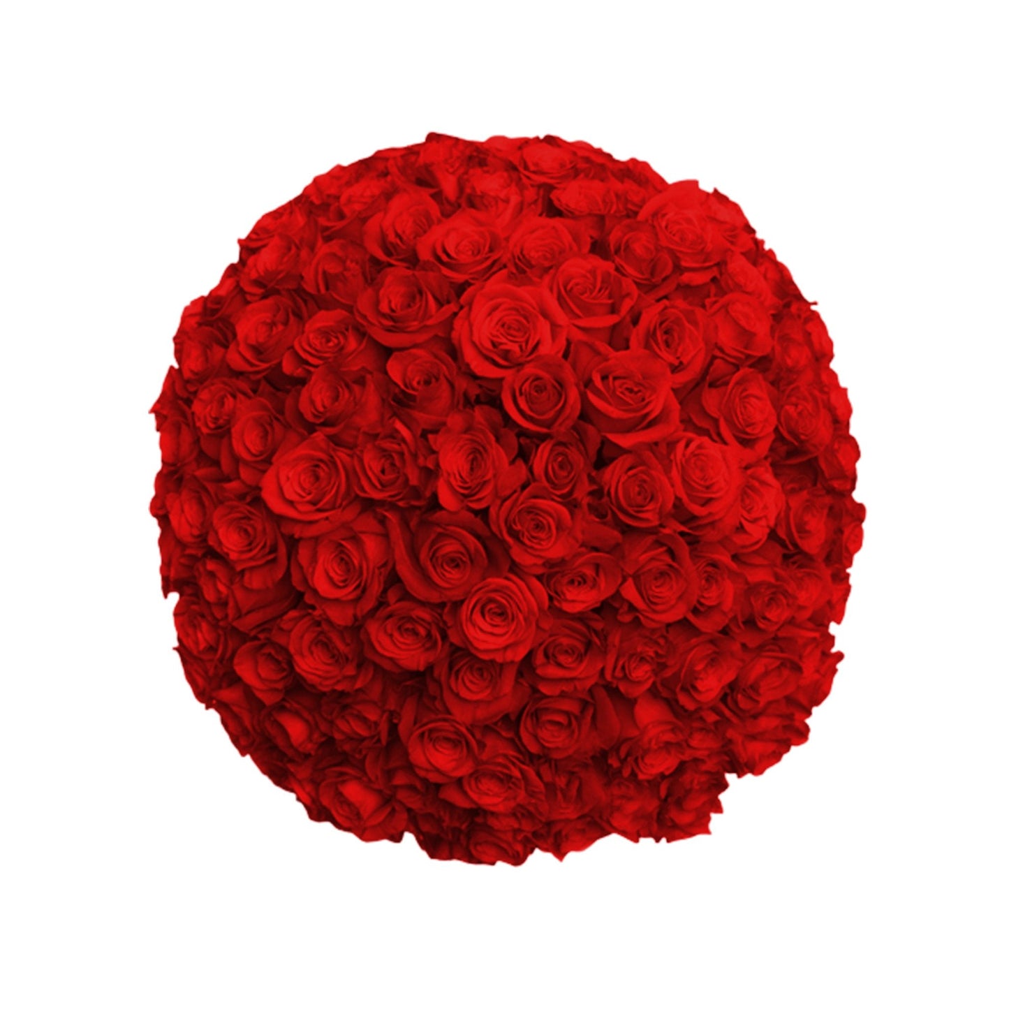 Fresh Roses in a Vase | 100 Red Roses - Fresh Cut Flowers - Queens Flower Delivery