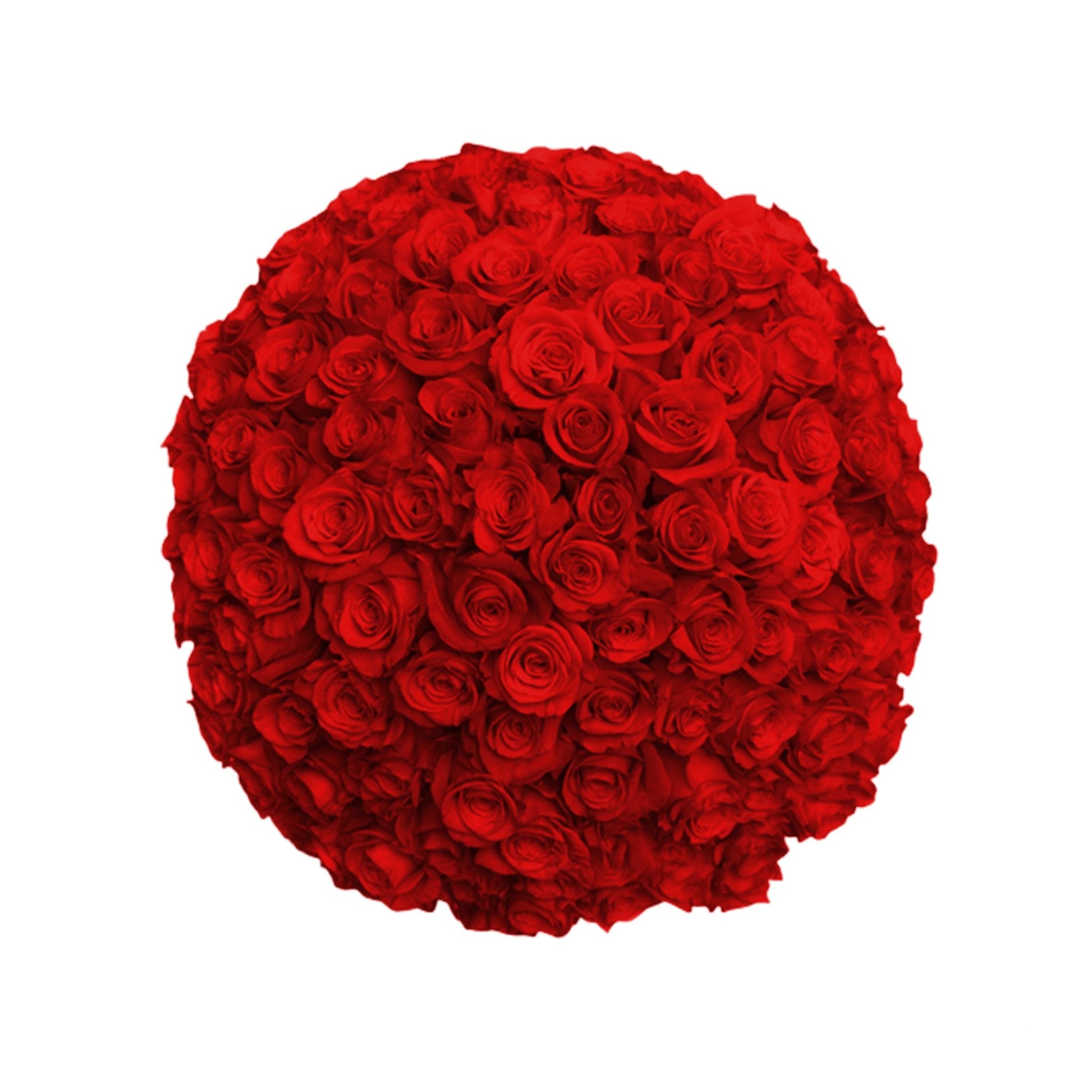 Fresh Roses in a Vase | 100 Red Roses - Fresh Cut Flowers - Queens Flower Delivery