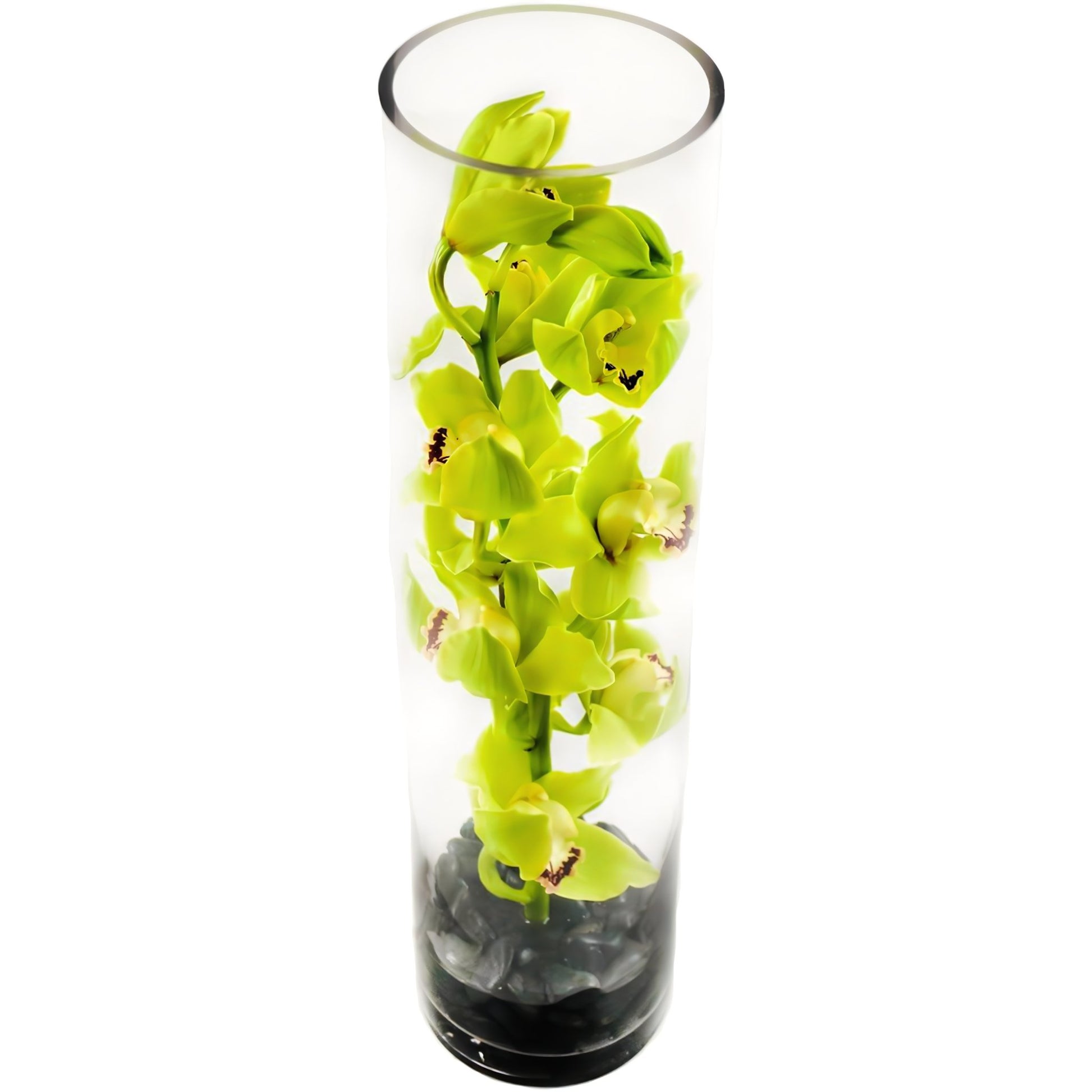 Green Cymbidium Orchid Tower - Fresh Cut Flowers - Queens Flower Delivery