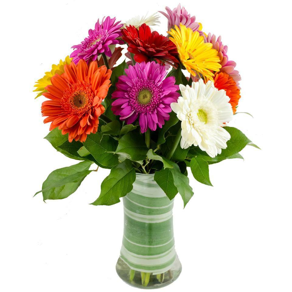Merry Gerberas - Occasions > Anniversary - Queens Flower Delivery
