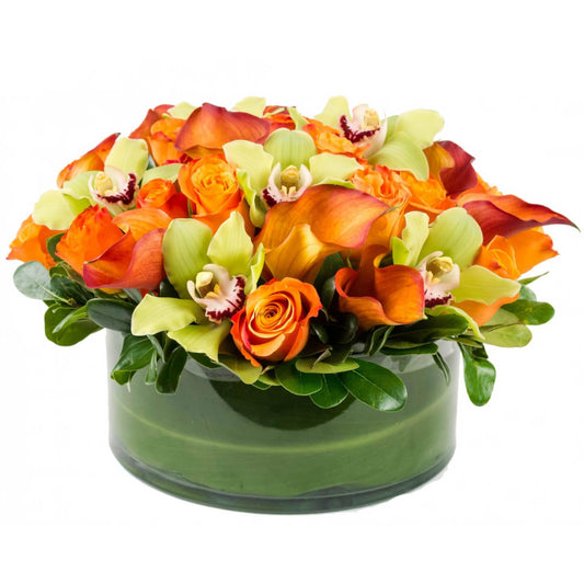 Orange you Special - Floral Arrangement - Queens Flower Delivery