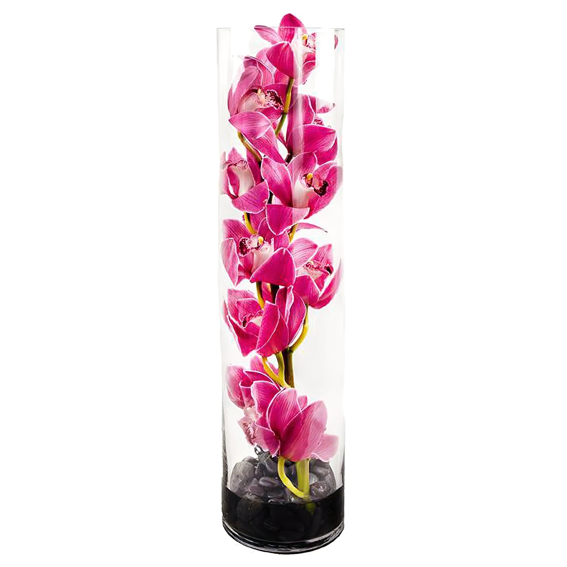 Pink Cymbidium Orchid Tower - Fresh Cut Flowers - Queens Flower Delivery