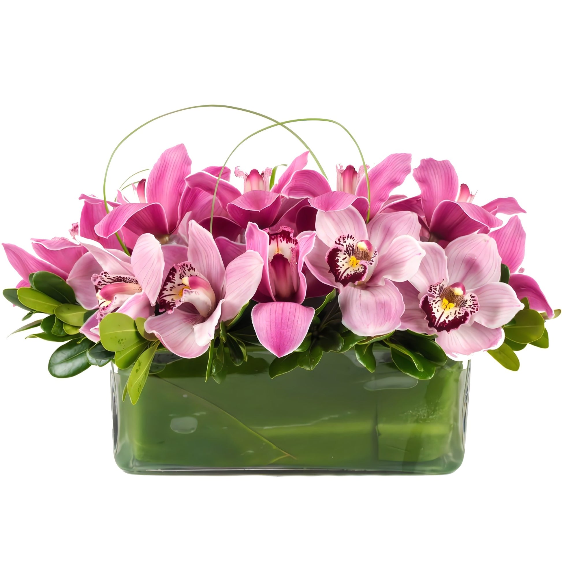 Pink Me Up! - Fresh Cut Flowers - Queens Flower Delivery