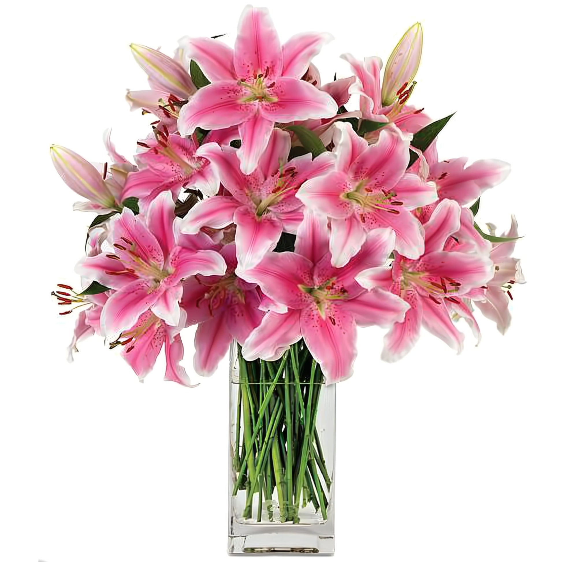 Pink Stargazer Surprise - Occasions > Anniversary - Queens Flower Delivery