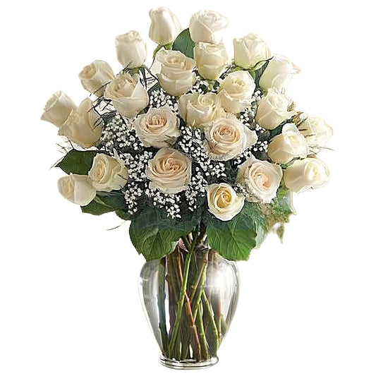 Premium 24 Long Stem White Roses - Funeral > Vase Arrangements - Queens Flower Delivery