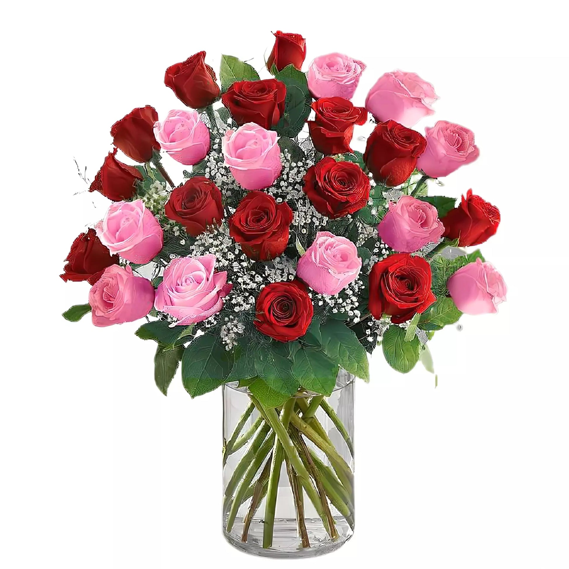 Premium Long Stem - 24 Pink & Red Roses - Fresh Cut Flowers - Queens Flower Delivery