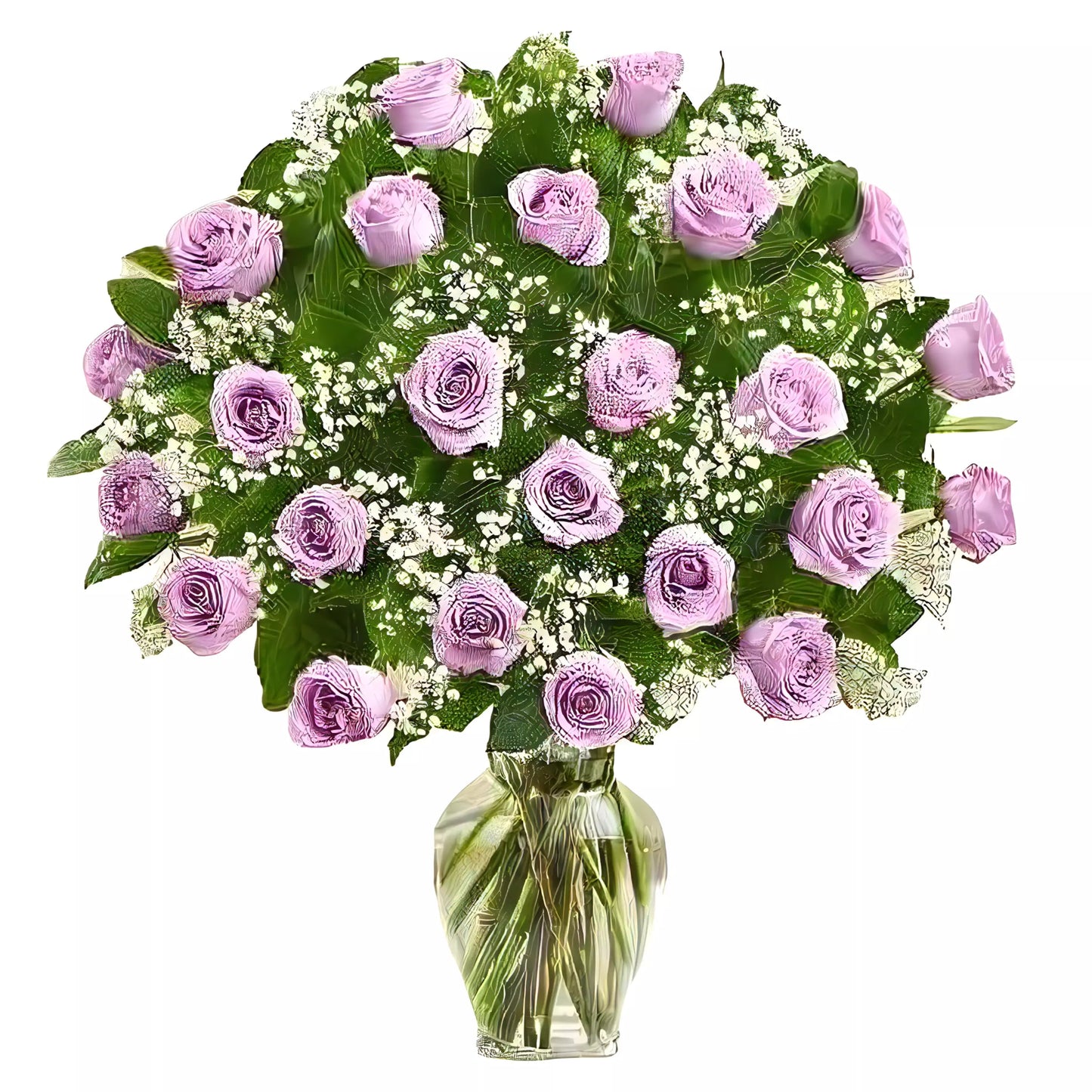 Premium Long Stem - 24 Purple Roses - Fresh Cut Flowers - Queens Flower Delivery