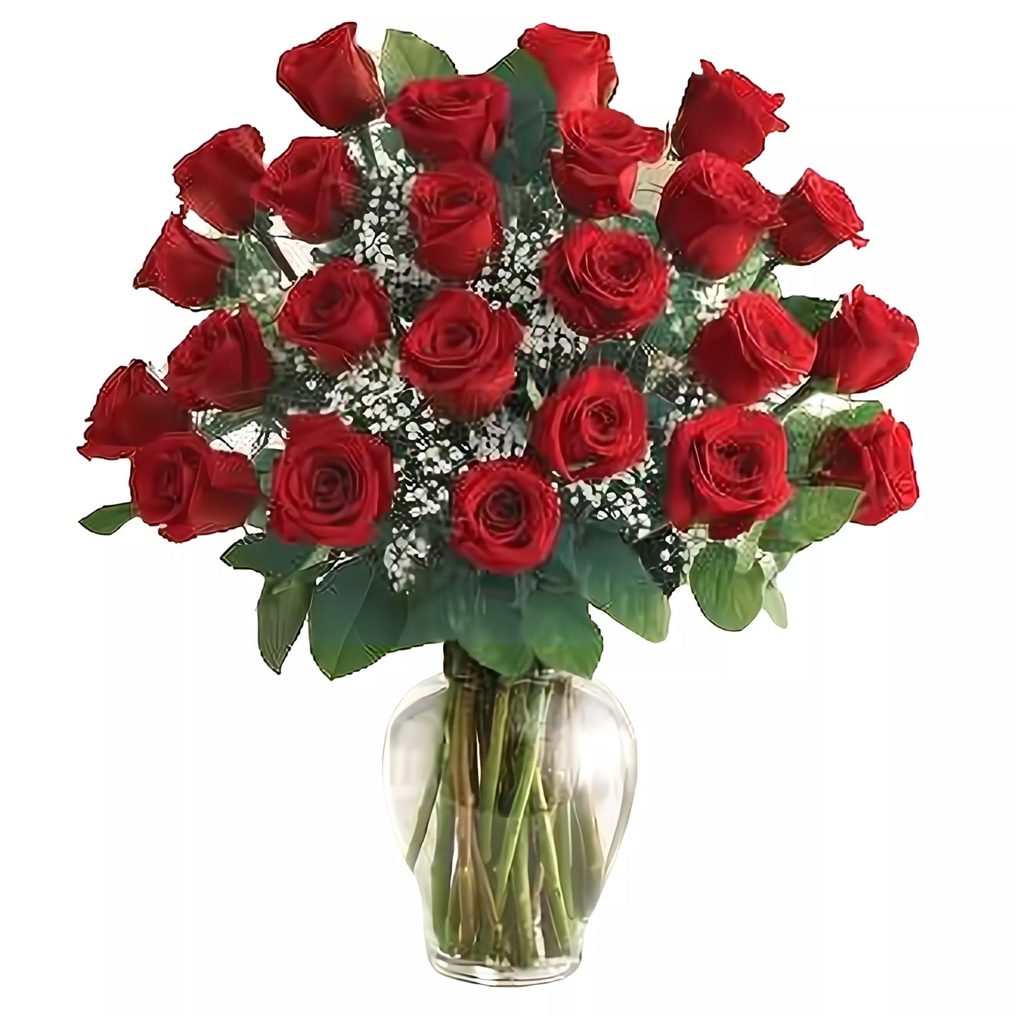 Premium Long Stem - 24 Red Roses - Roses - Queens Flower Delivery