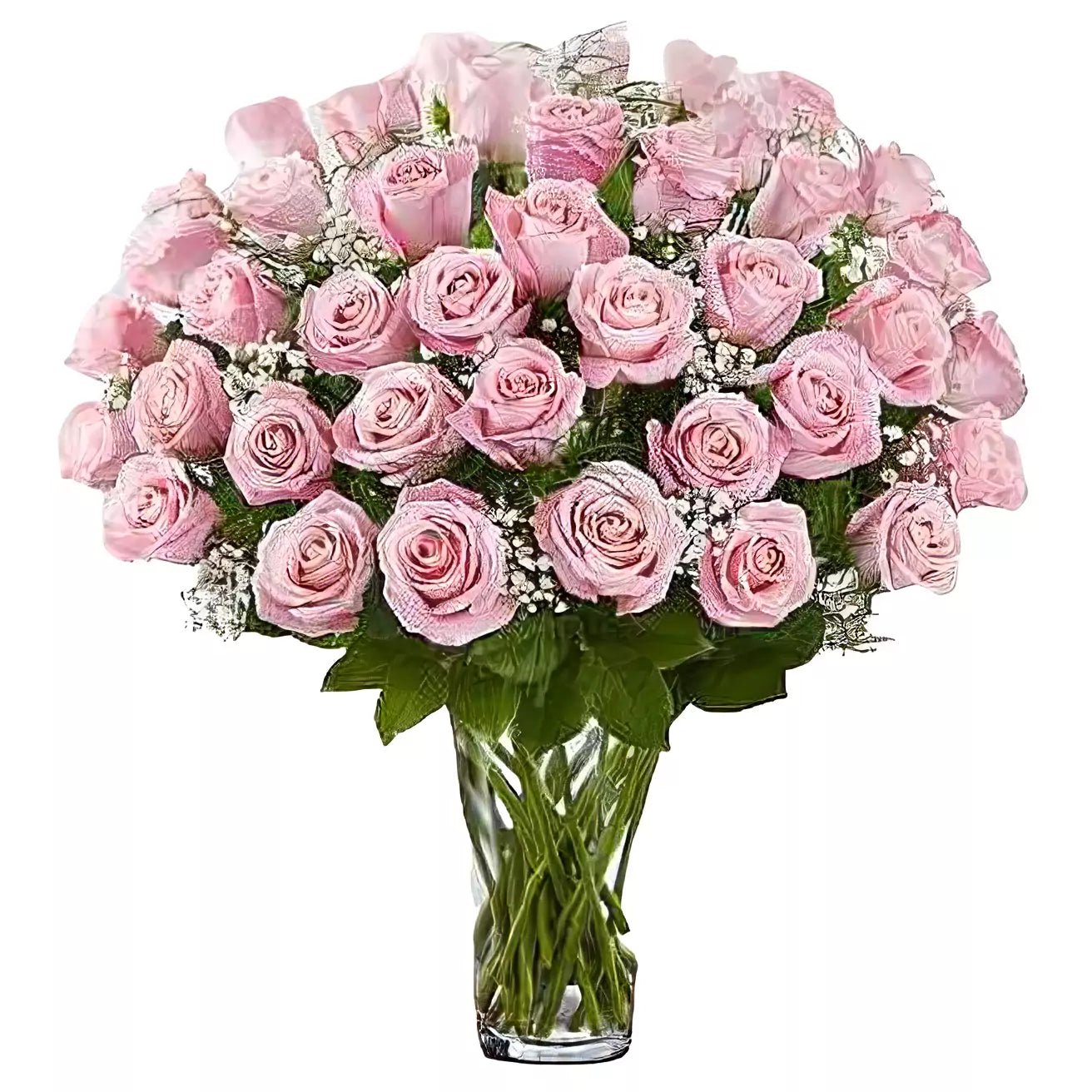 Premium Long Stem - 48 Pink Roses - Roses - Queens Flower Delivery