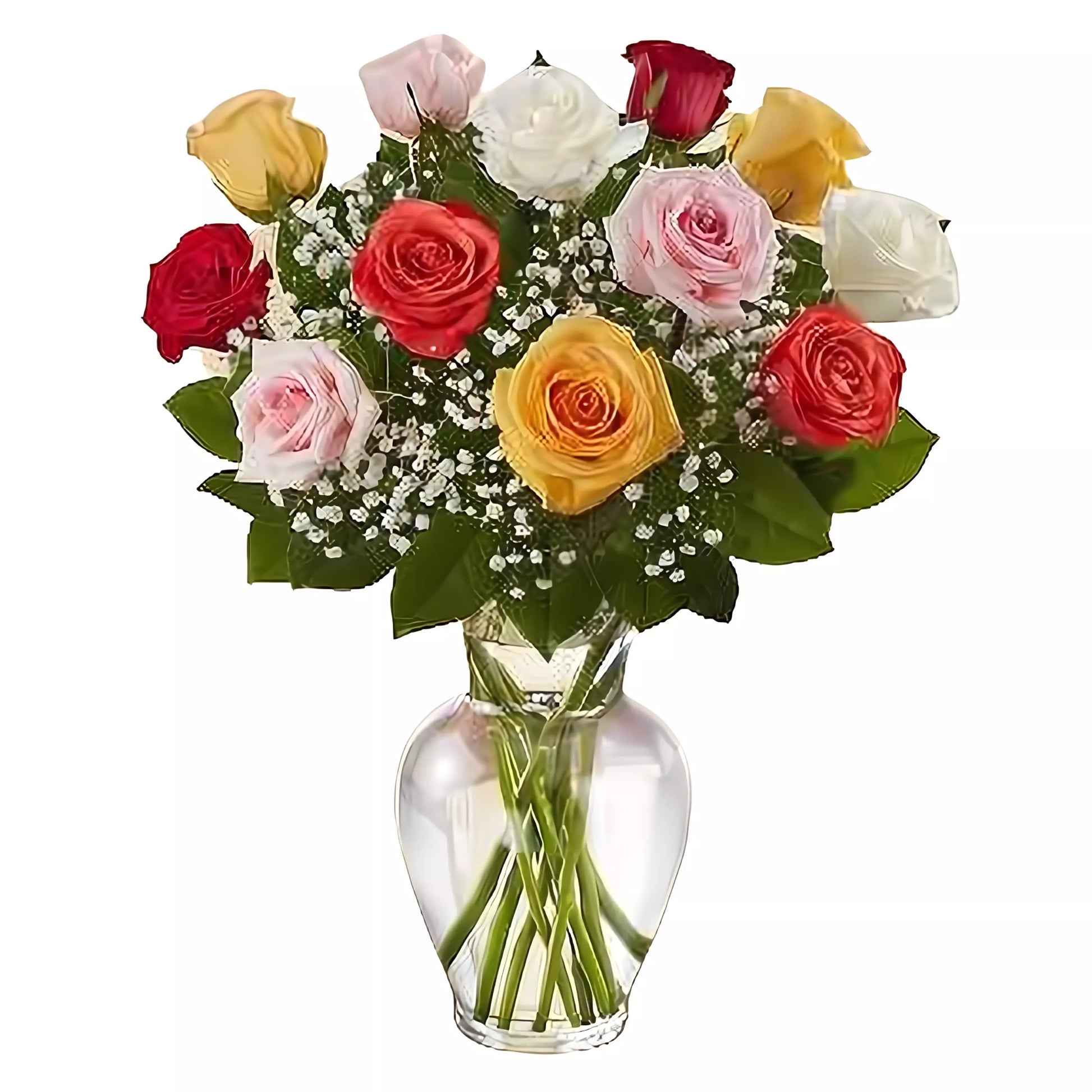 Premium Long Stem - Dozen Assorted Roses - Roses - Queens Flower Delivery