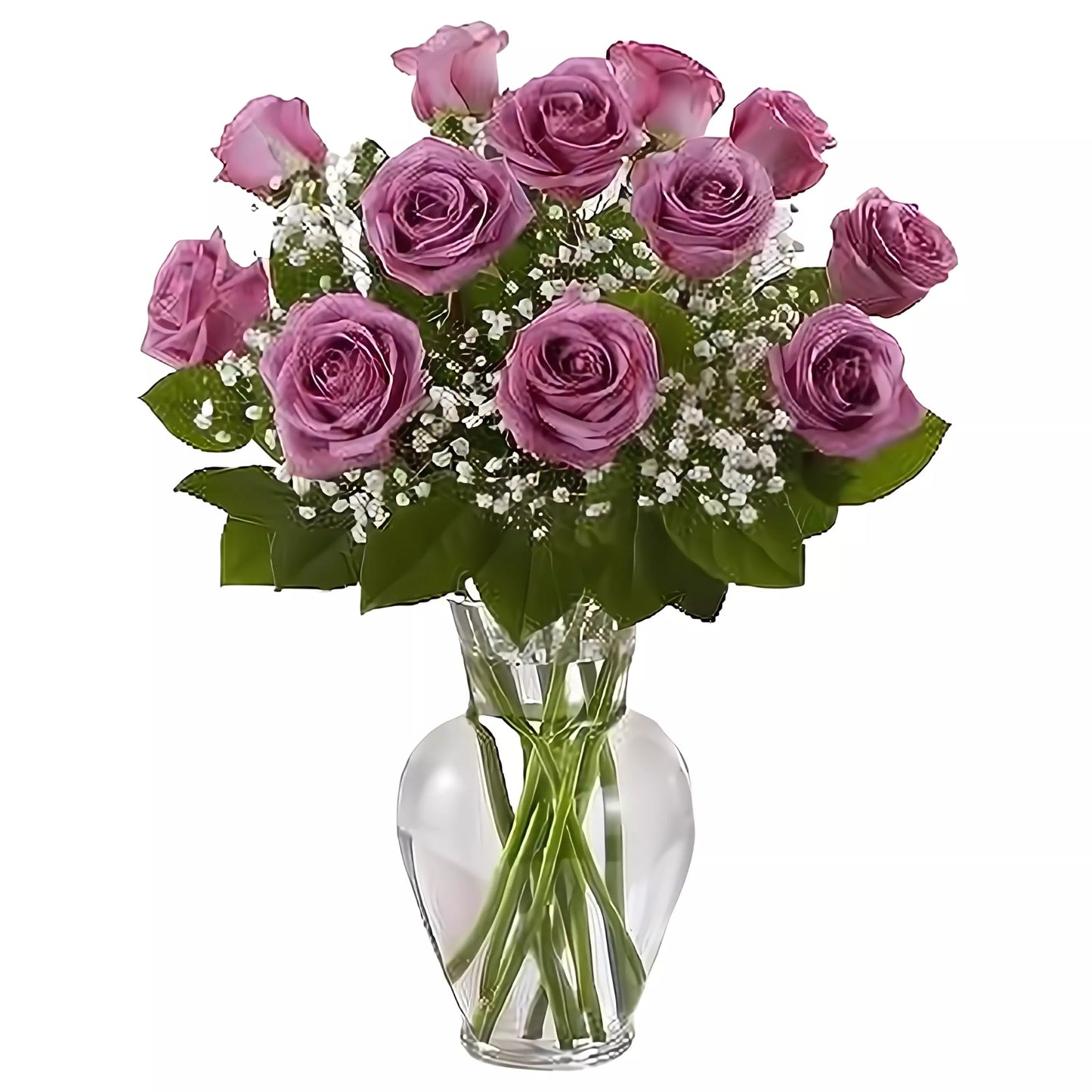 Premium Long Stem - Dozen Purple Roses - Roses - Queens Flower Delivery