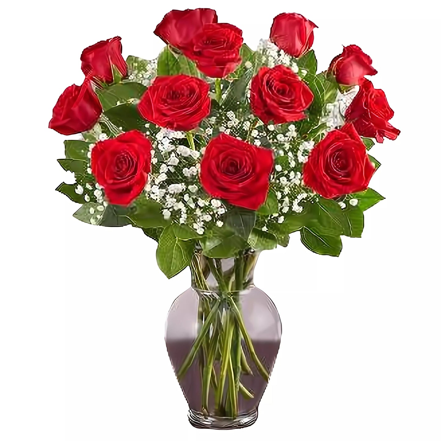 Premium Long Stem - Dozen Red Roses - Fresh Cut Flowers - Queens Flower Delivery