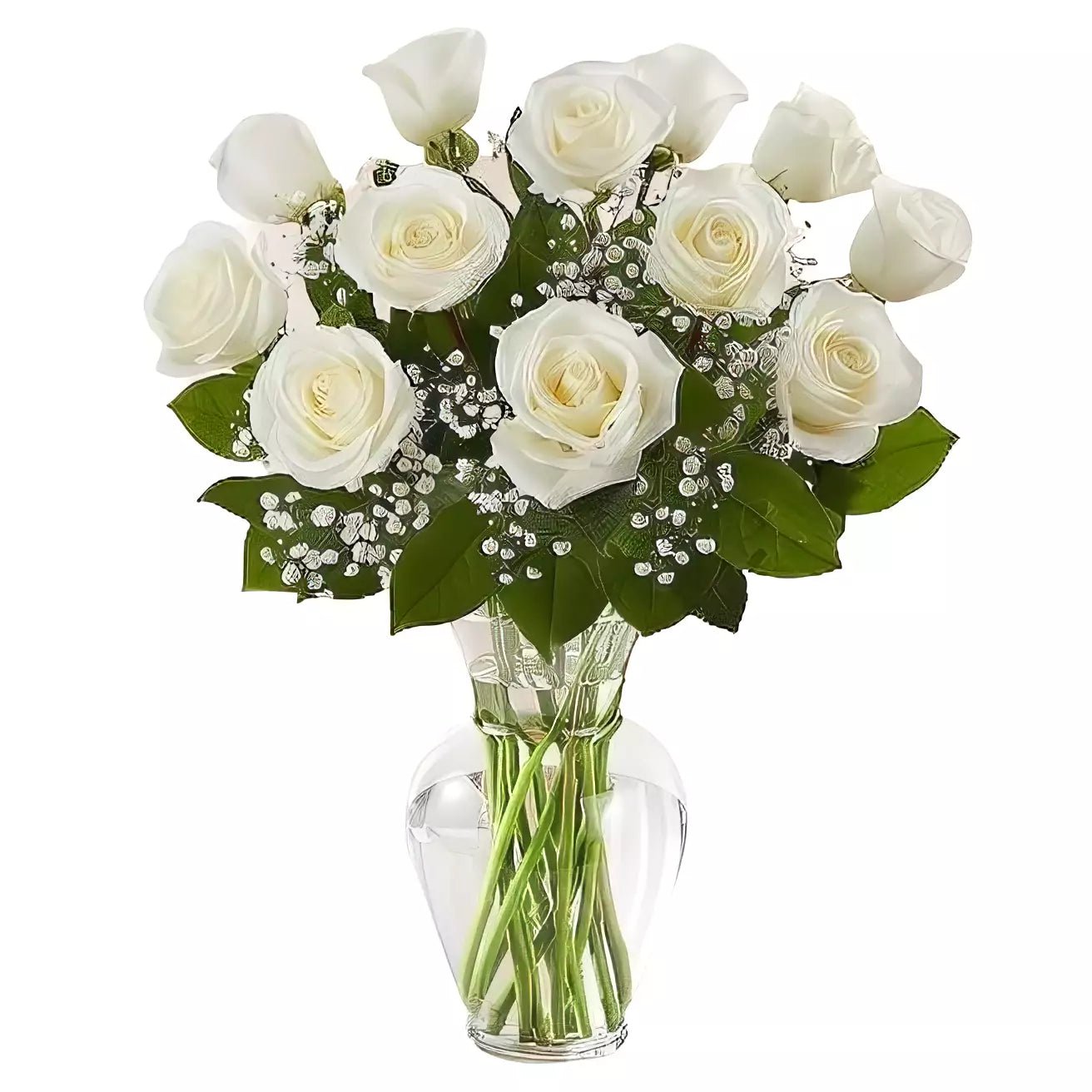 Premium Long Stem - Dozen White Roses - Roses - Queens Flower Delivery