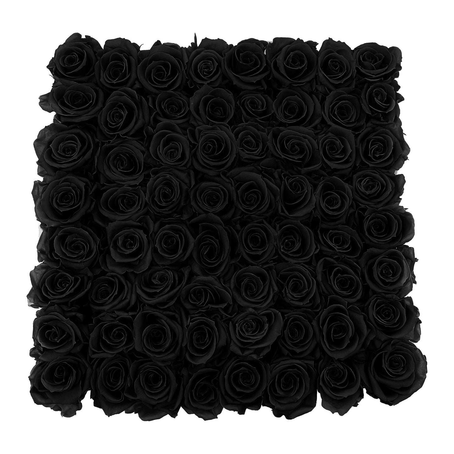 Preserved Roses Large Box | Black - Roses - Queens Flower Delivery