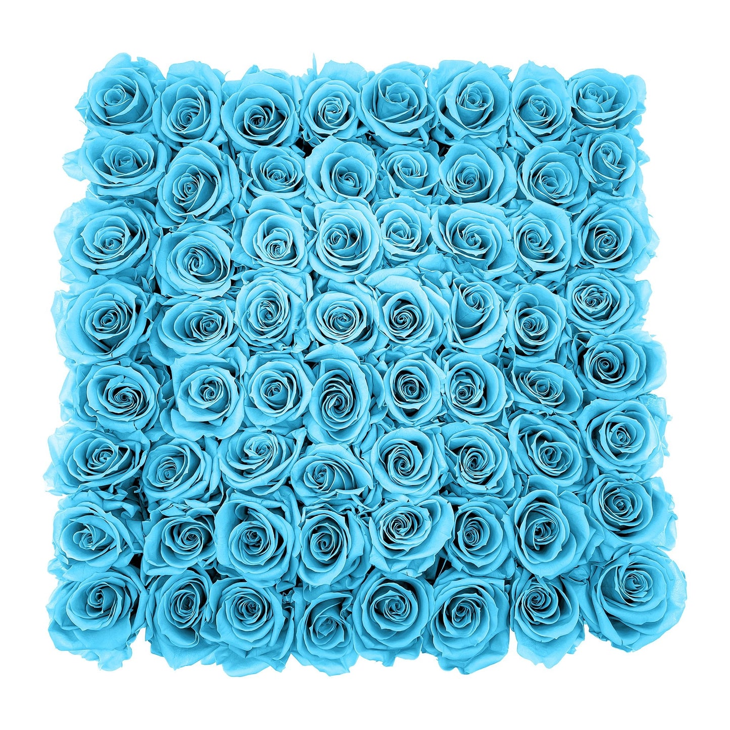Preserved Roses Large Box | Bright Turquoise - Roses - Queens Flower Delivery