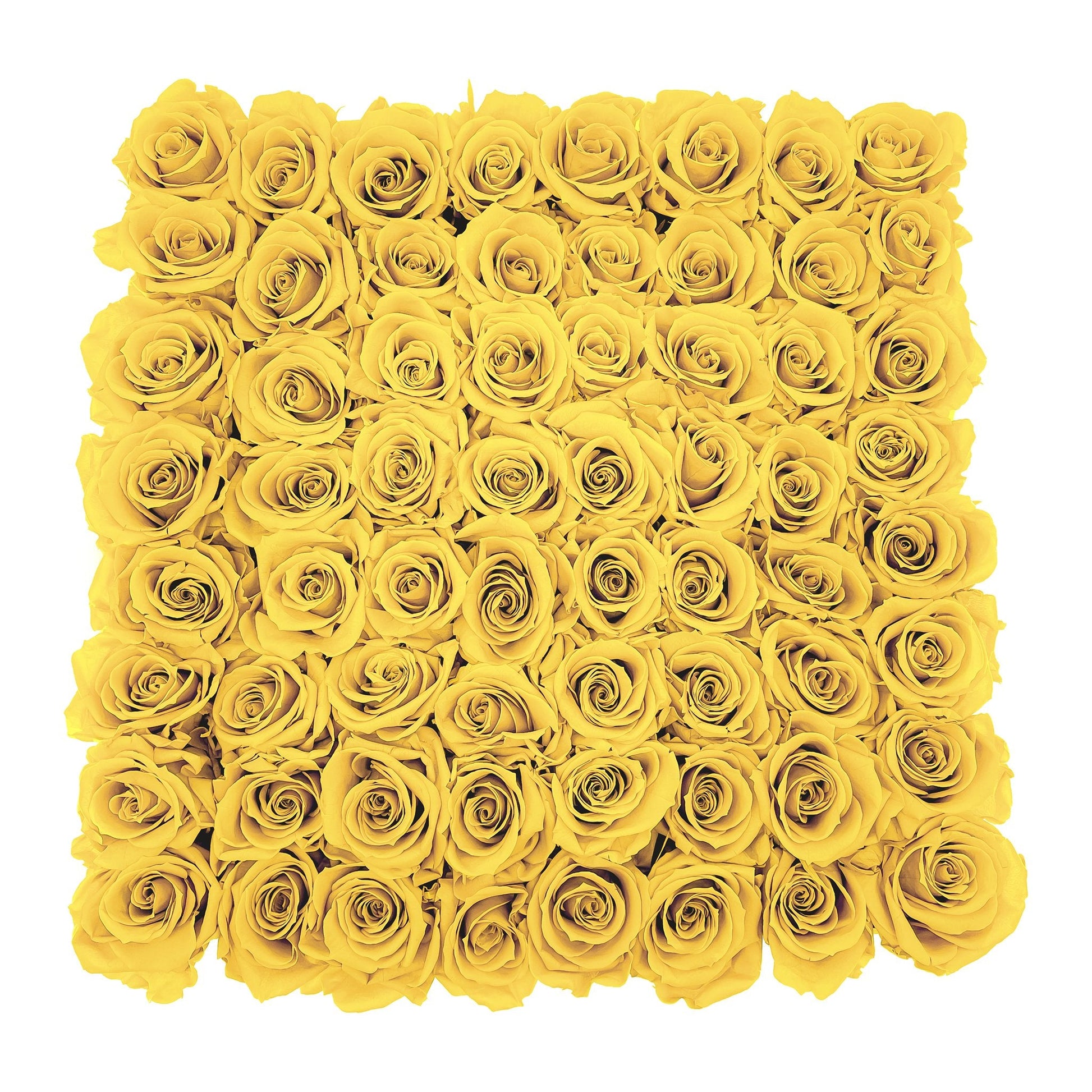 Preserved Roses Large Box | Bright Yellow - Roses - Queens Flower Delivery