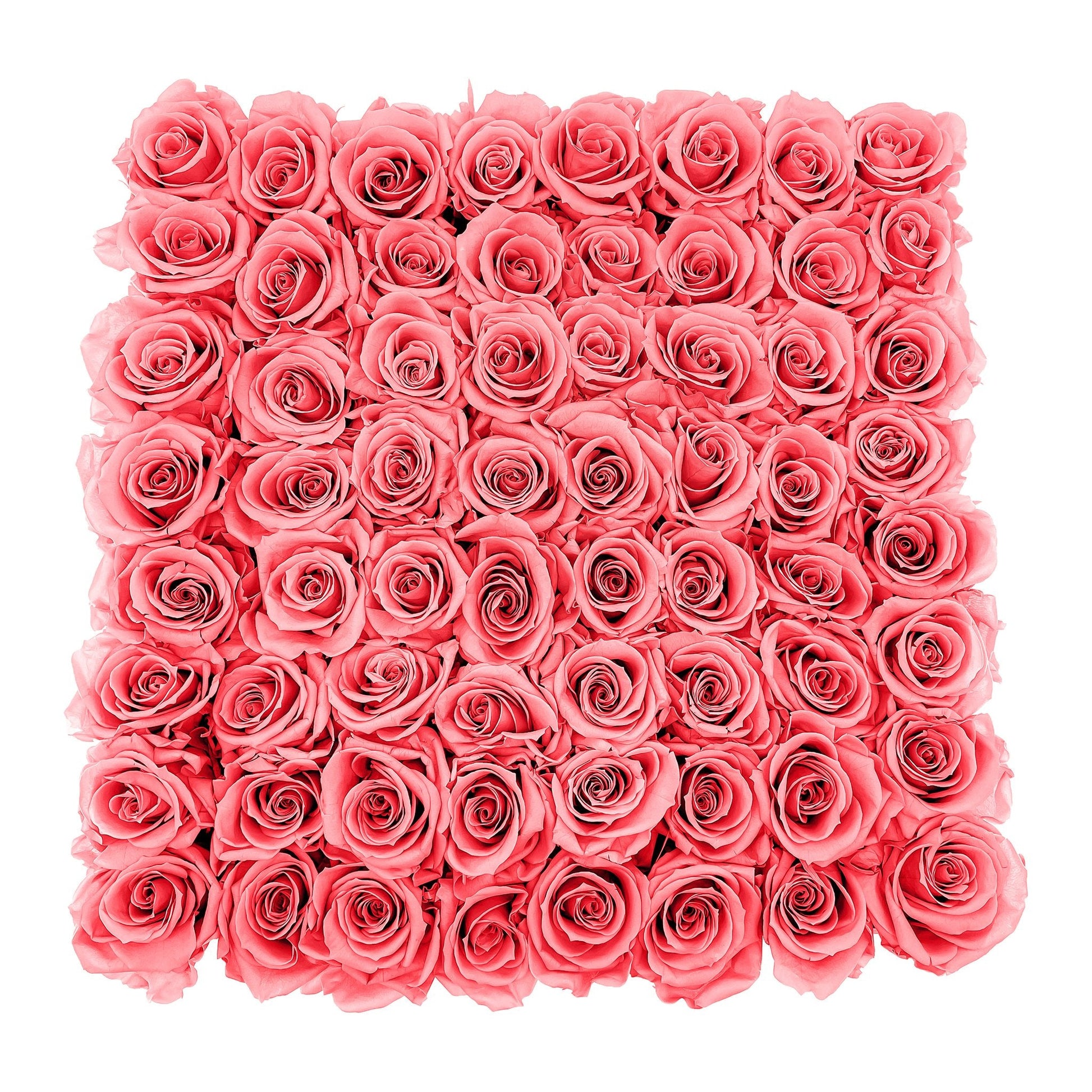 Preserved Roses Large Box | Cherry Blossom - Roses - Queens Flower Delivery