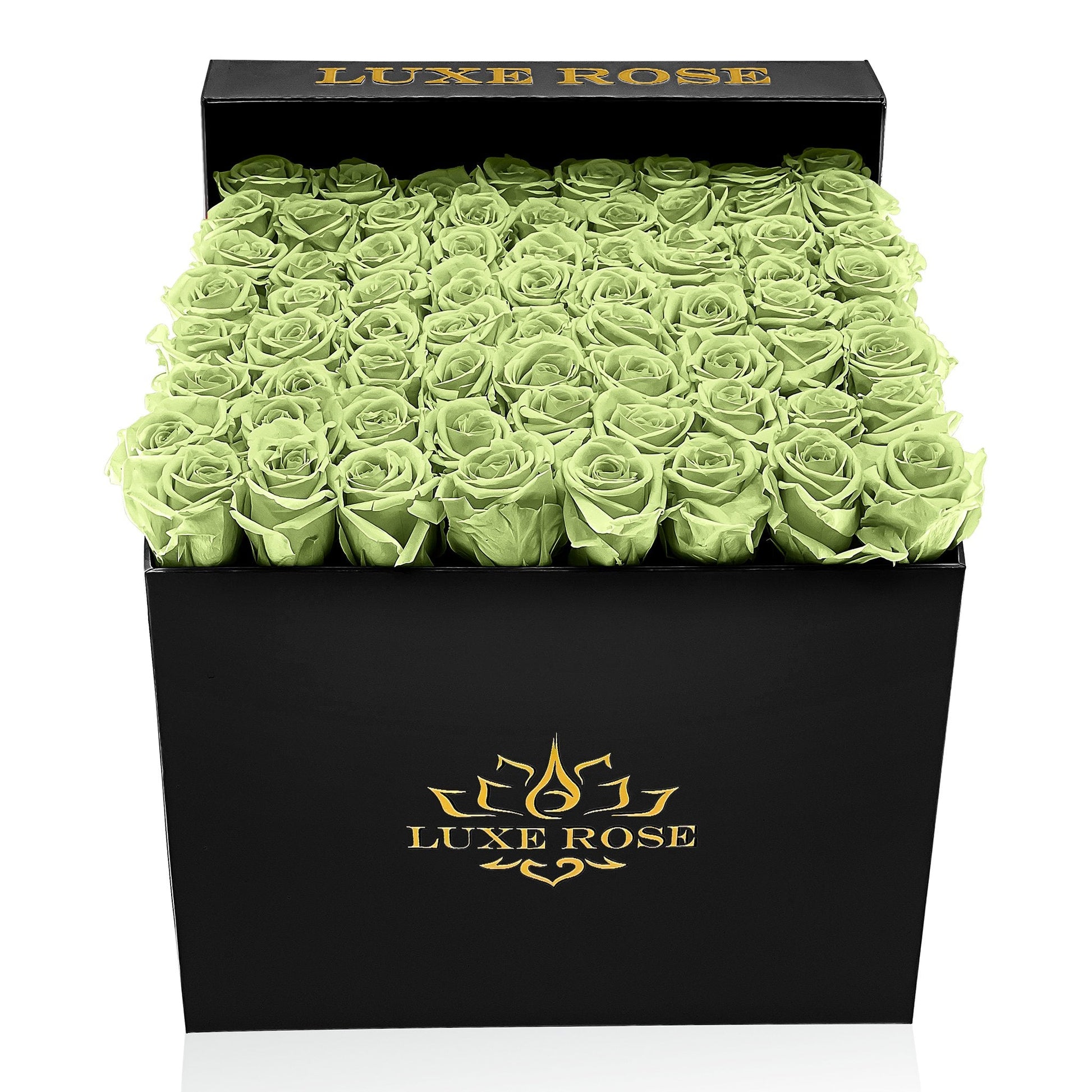 Preserved Roses Large Box | Green - Roses - Queens Flower Delivery