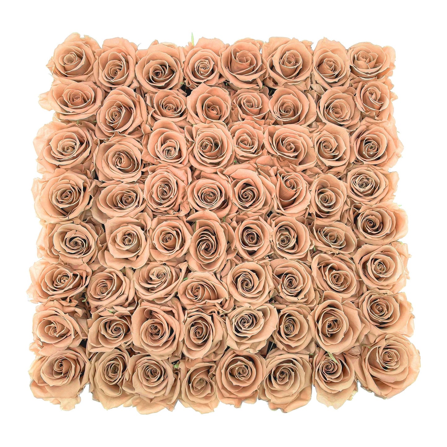 Preserved Roses Large Box | Peach - Roses - Queens Flower Delivery