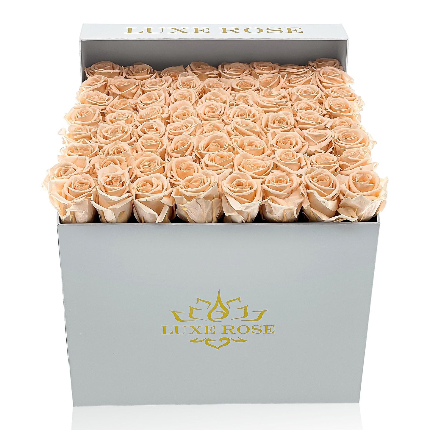 Preserved Roses Large Box | Peach - Roses - Queens Flower Delivery
