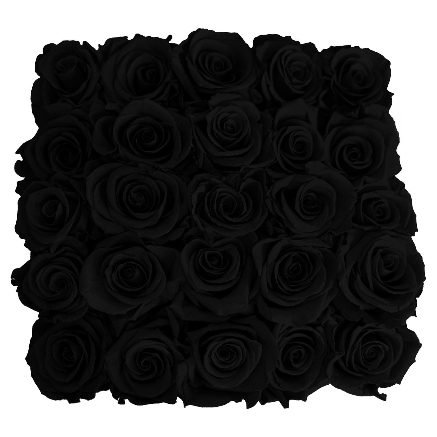Preserved Roses Small Box | Black - Roses - Queens Flower Delivery