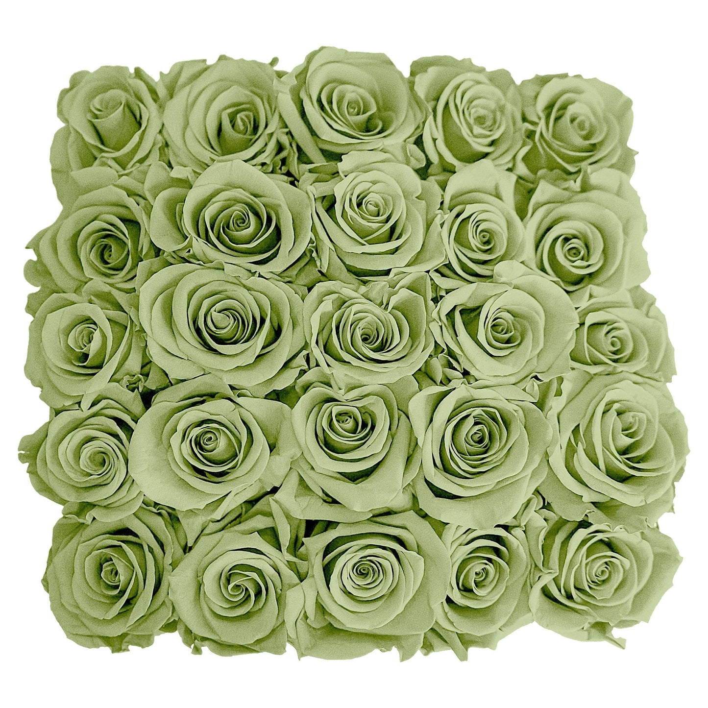 Preserved Roses Small Box | Green - Roses - Queens Flower Delivery