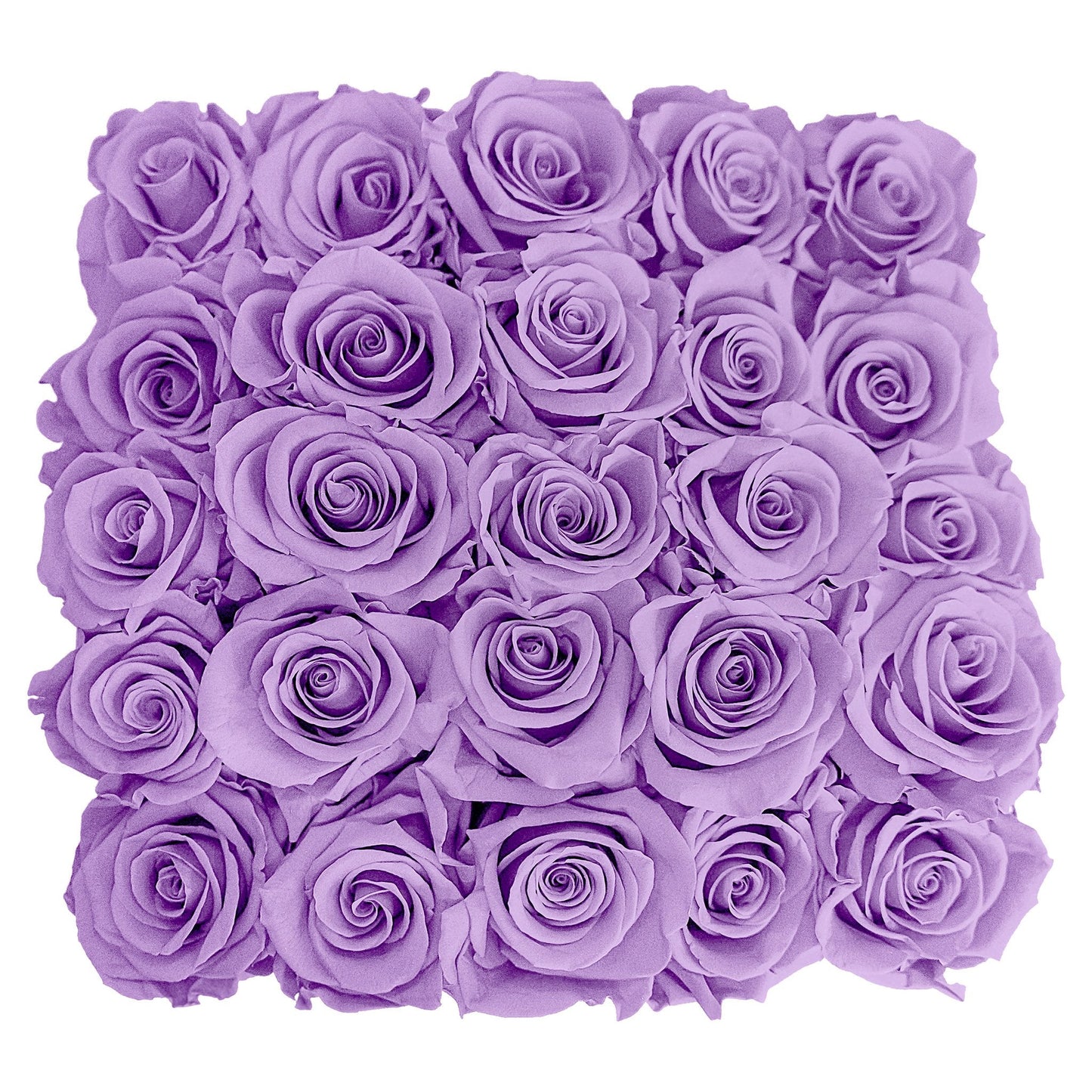 Preserved Roses Small Box | Lilac - Roses - Queens Flower Delivery