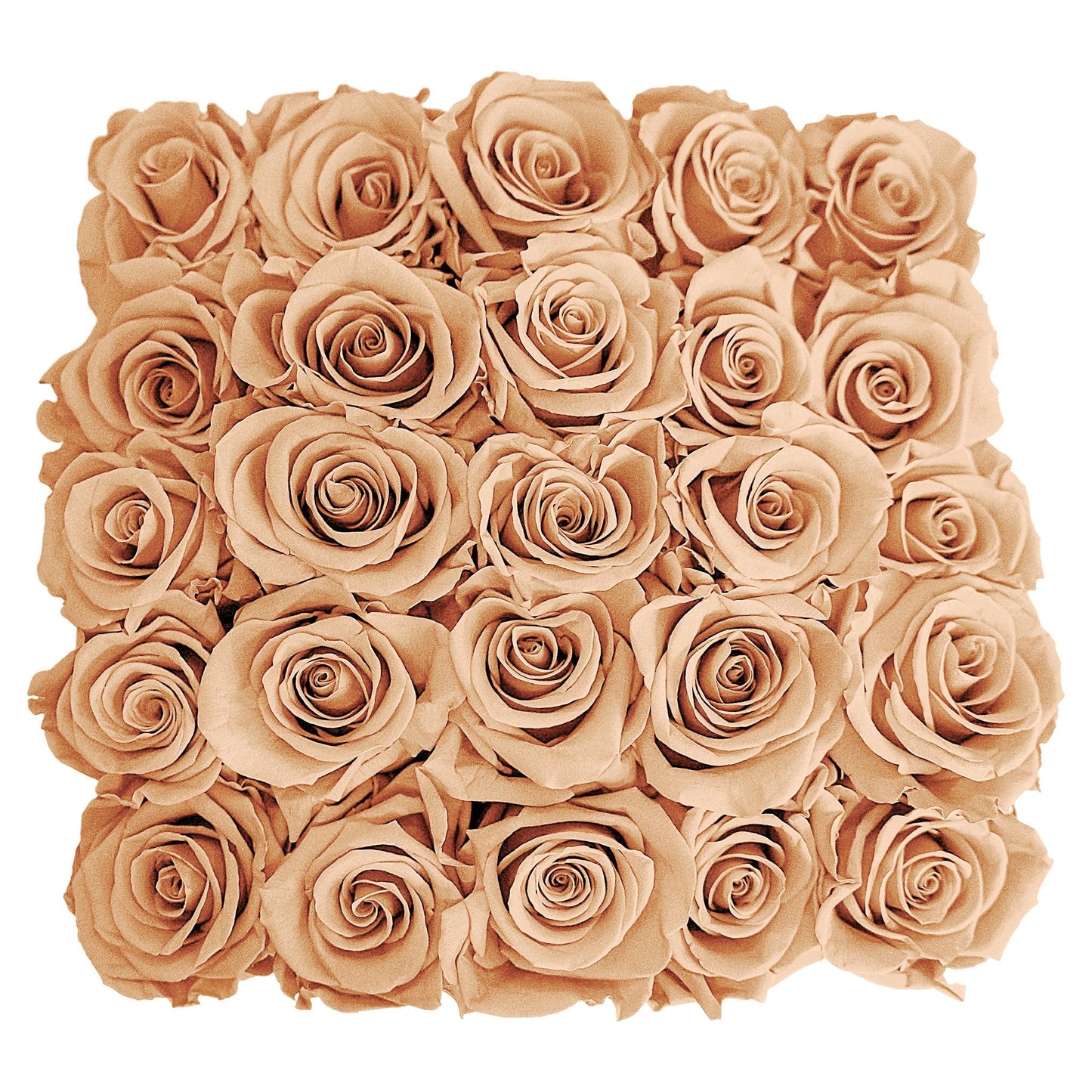 Preserved Roses Small Box | Peach - Roses - Queens Flower Delivery