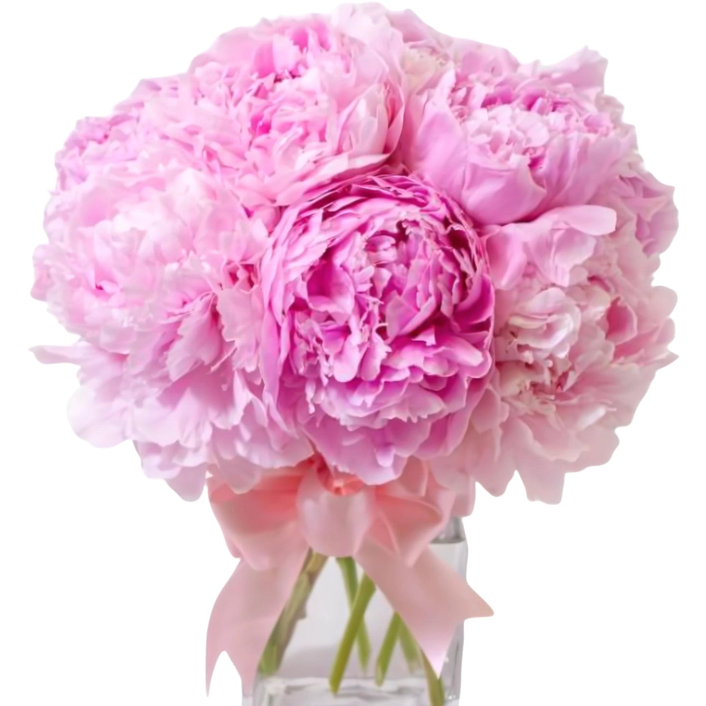 Pretty Pink Peony - Fresh Cut Flowers - Queens Flower Delivery