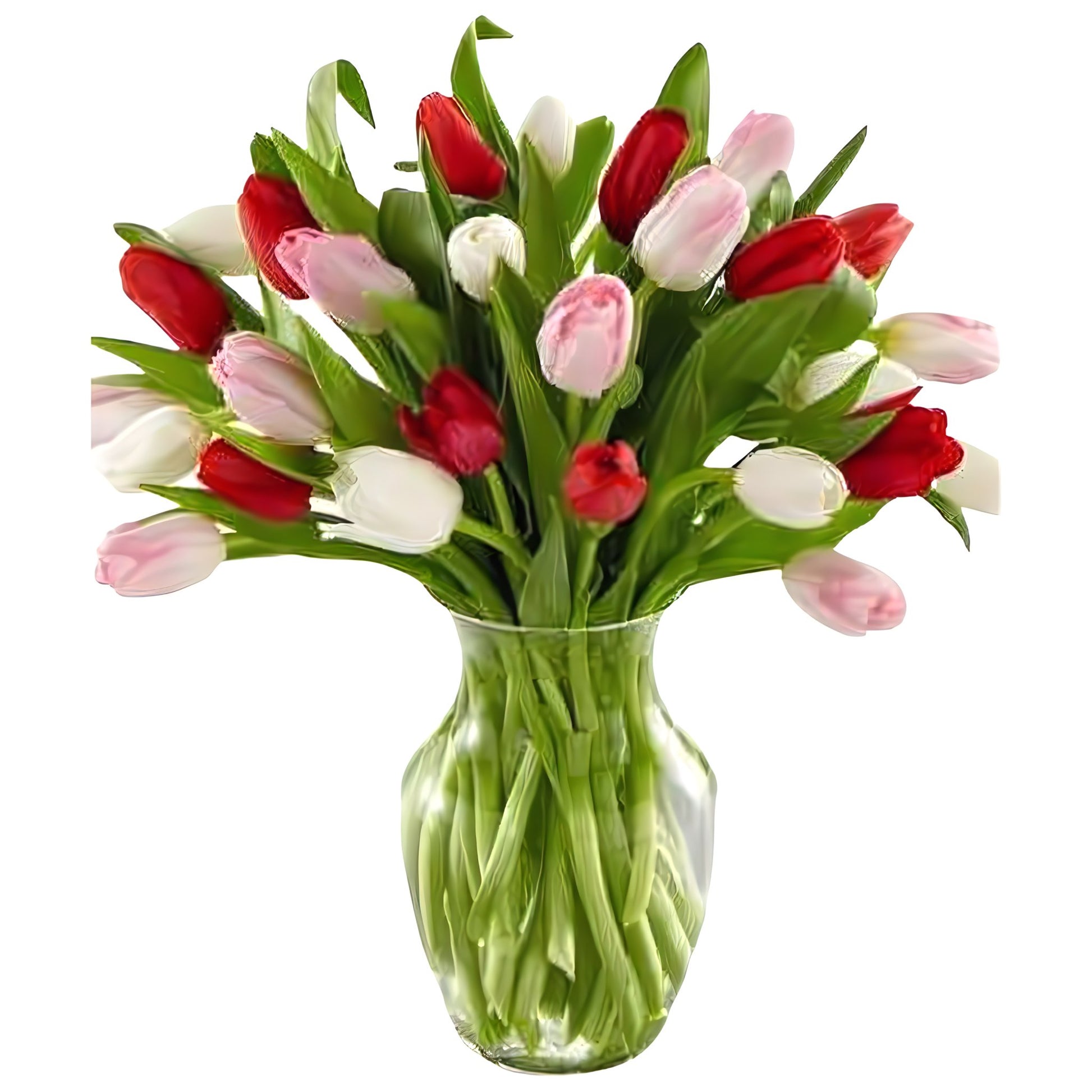 Tulips Of Love - Valentine's Day - Queens Flower Delivery