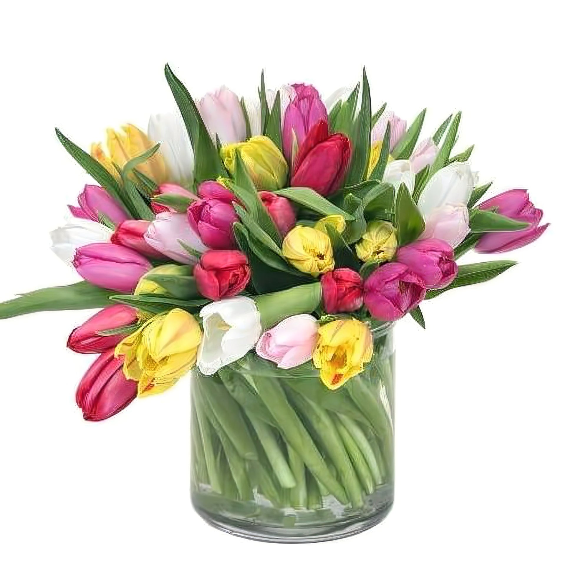Wonderful Tulips - Fresh Cut Flowers - Queens Flower Delivery